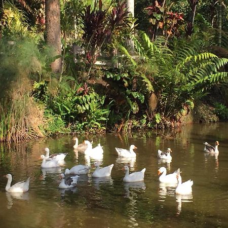 Eco Hotel Los Lagos Marsella  エクステリア 写真