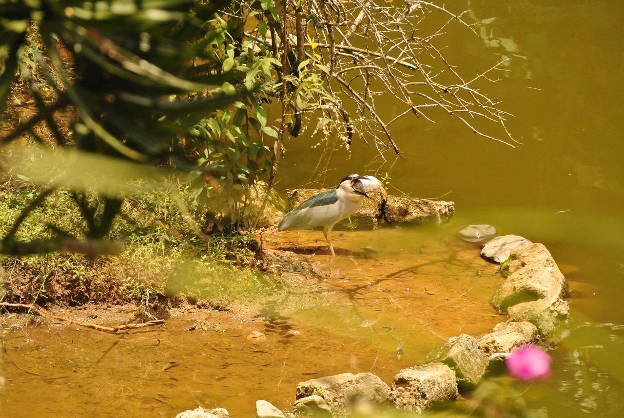 Eco Hotel Los Lagos Marsella  エクステリア 写真