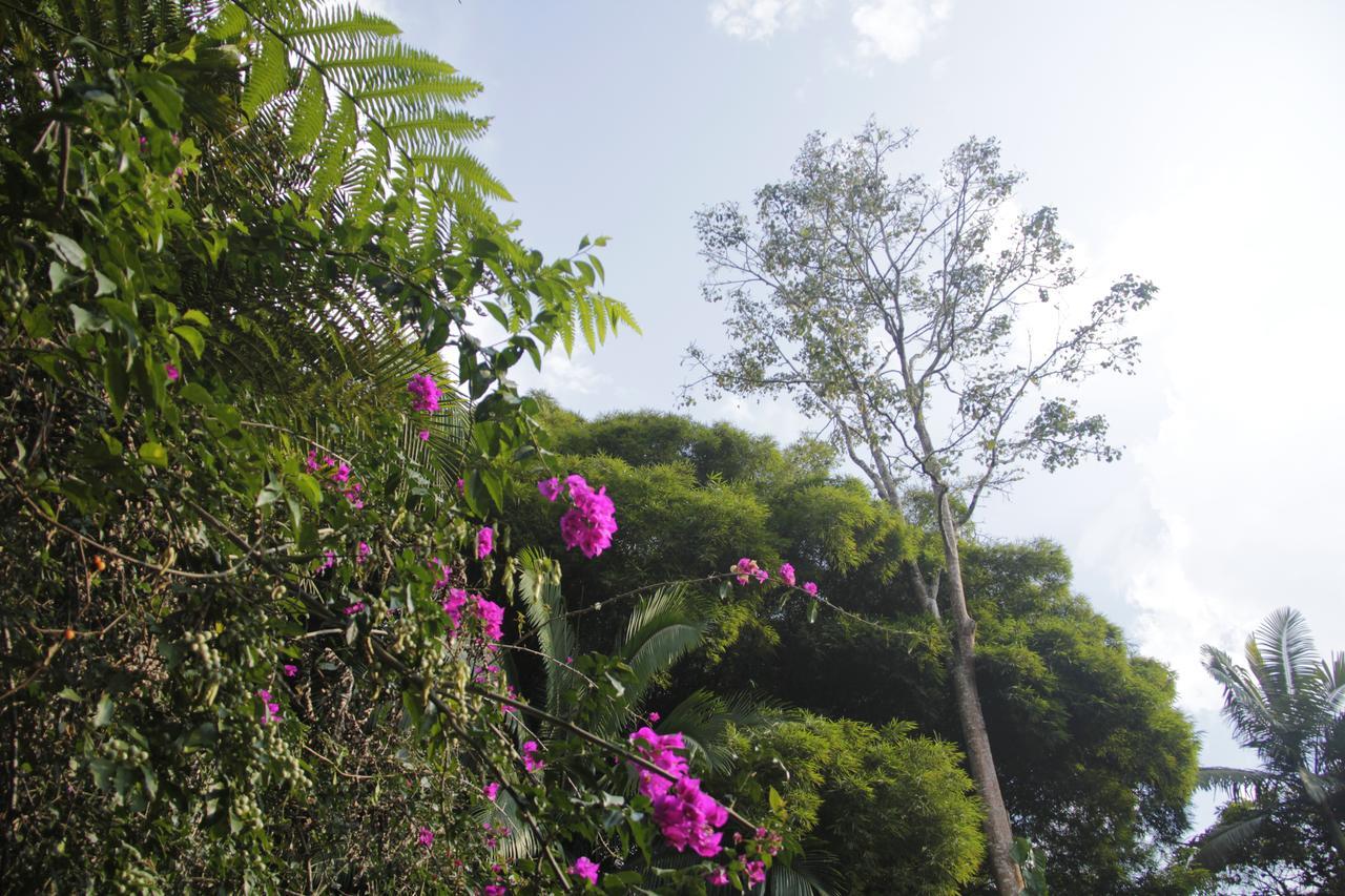 Eco Hotel Los Lagos Marsella  エクステリア 写真