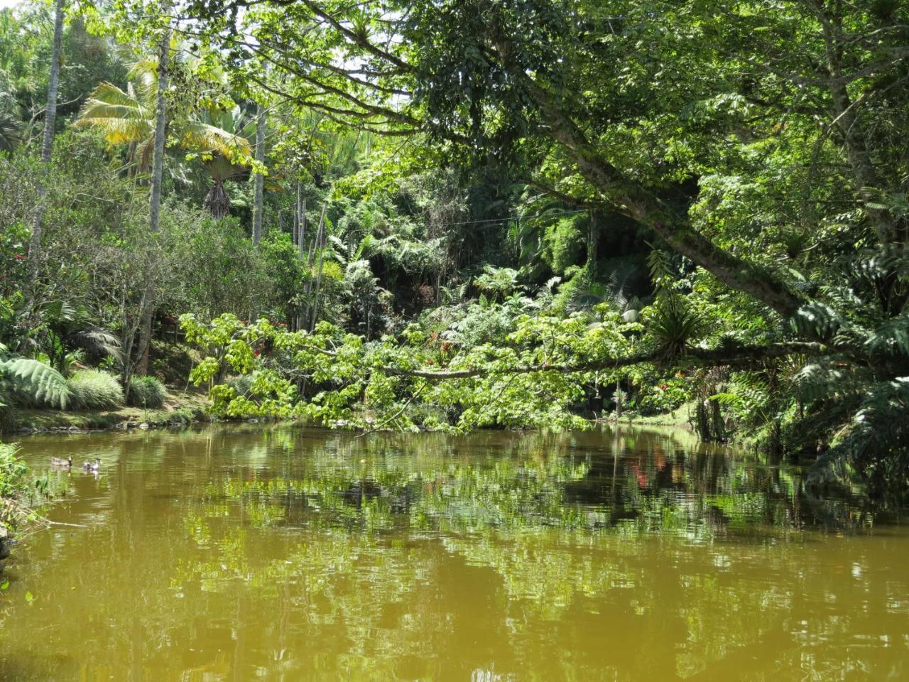 Eco Hotel Los Lagos Marsella  エクステリア 写真