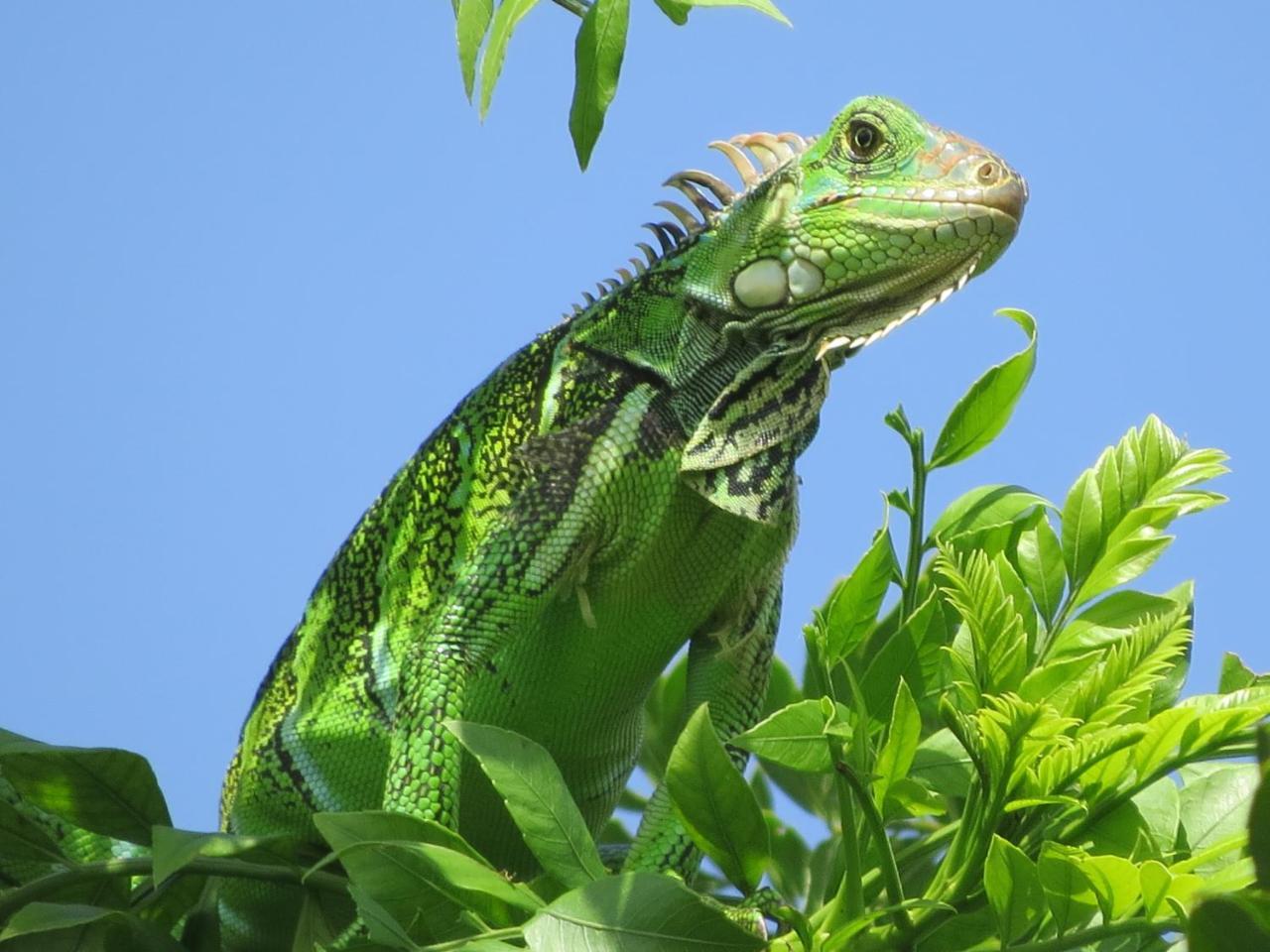 Eco Hotel Los Lagos Marsella  エクステリア 写真