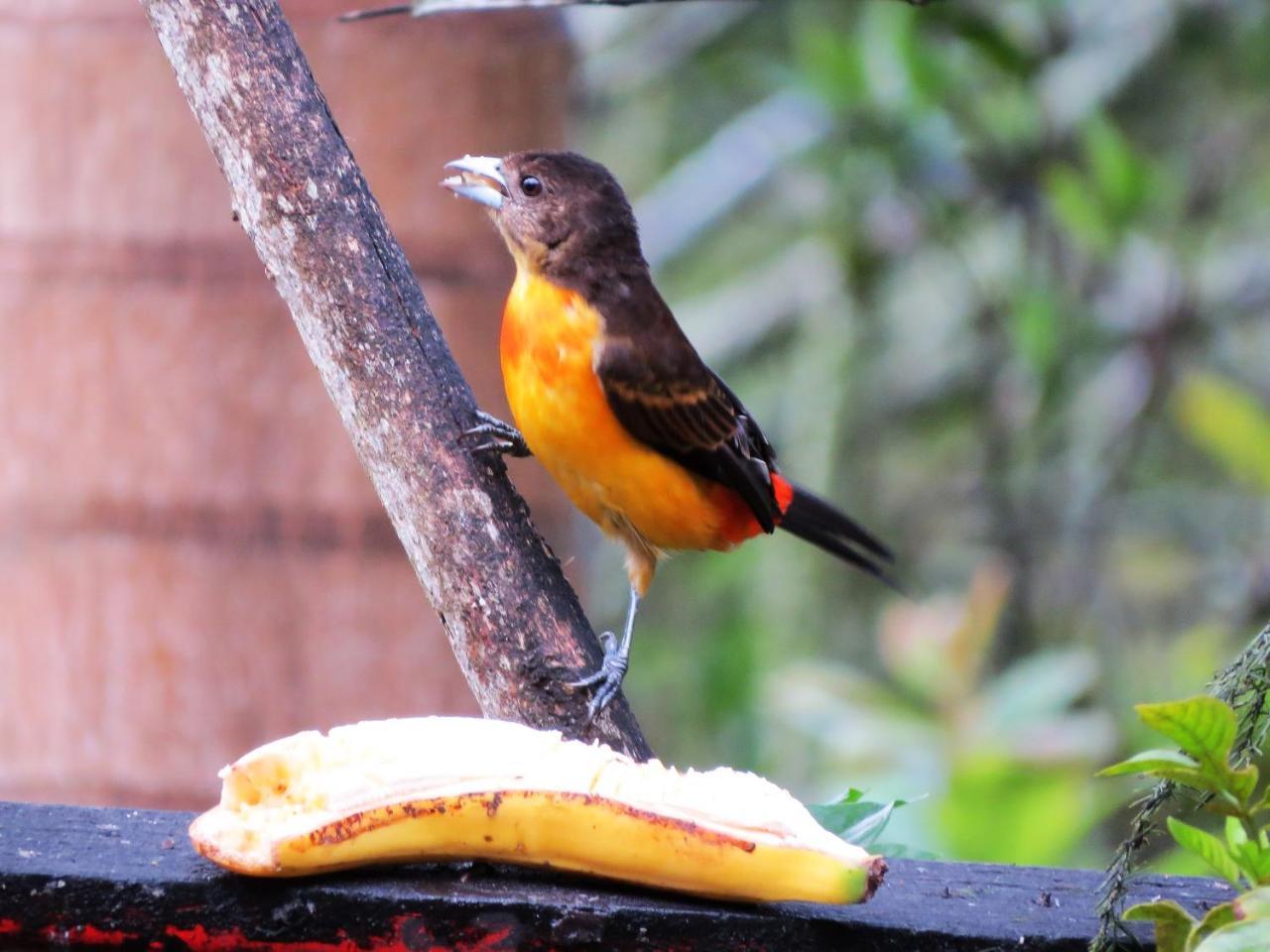 Eco Hotel Los Lagos Marsella  エクステリア 写真