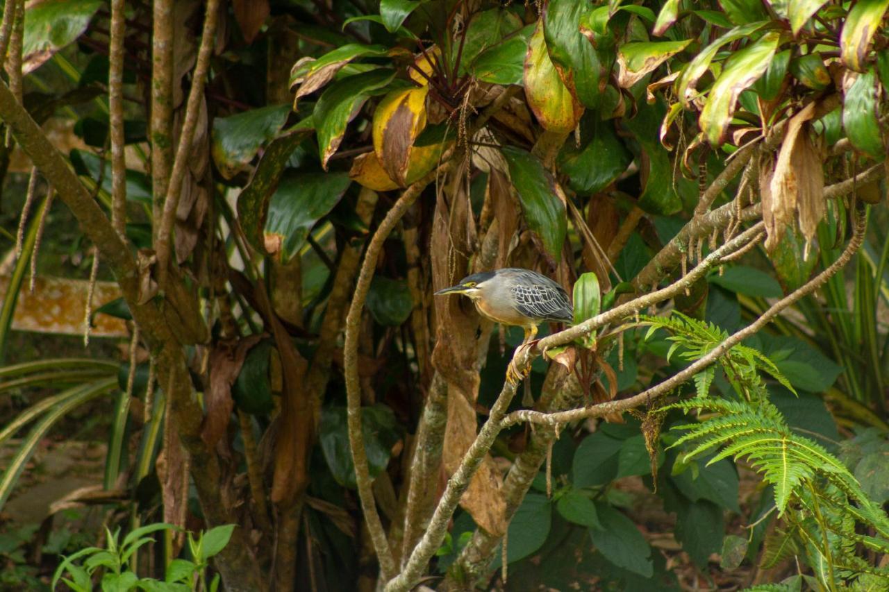 Eco Hotel Los Lagos Marsella  エクステリア 写真