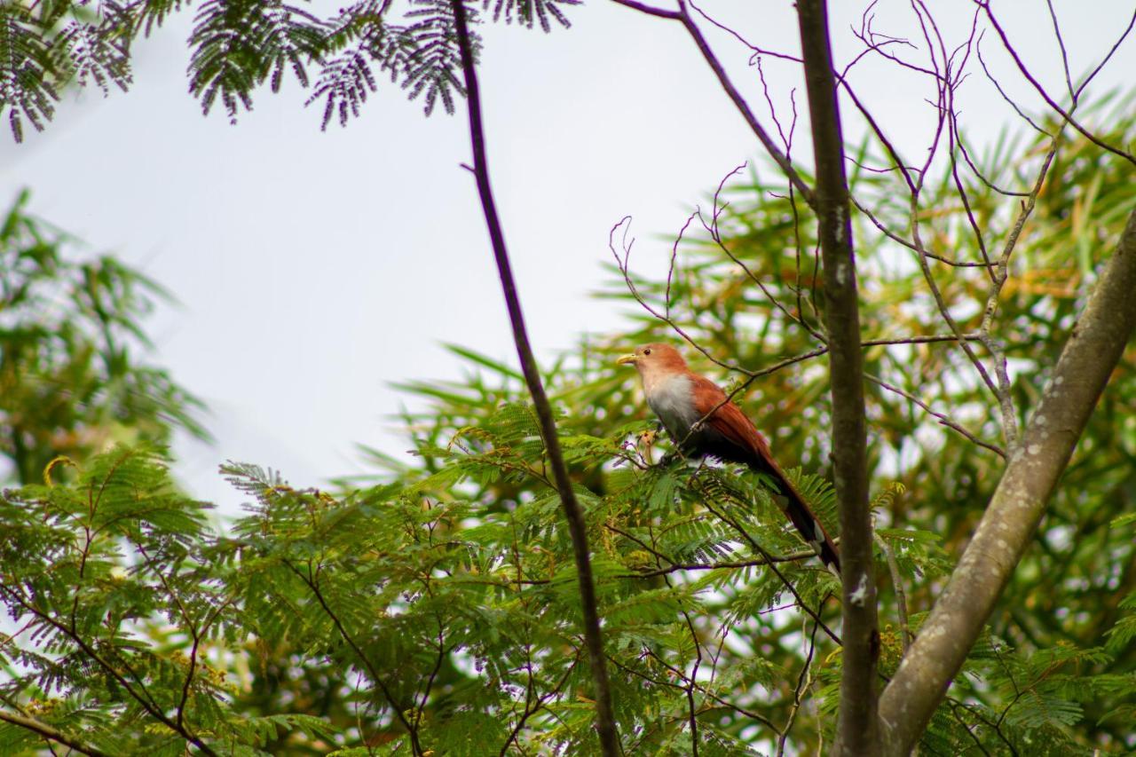 Eco Hotel Los Lagos Marsella  エクステリア 写真