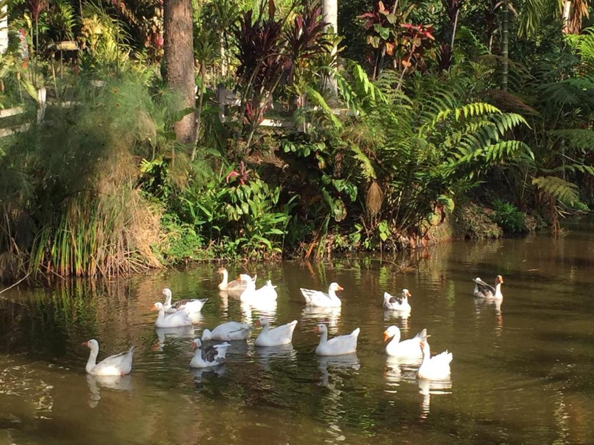 Eco Hotel Los Lagos Marsella  エクステリア 写真